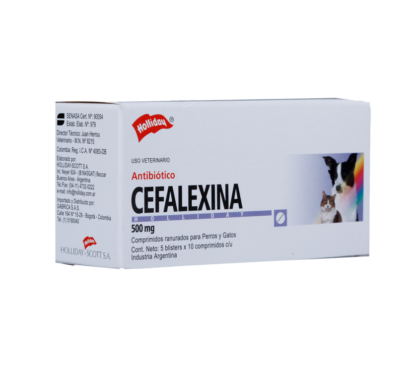 Cefalexina Antibiótico 500Mg 50 Tabletas