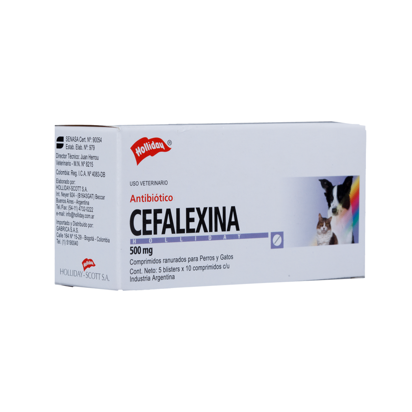 Cefalexina Antibiótico 500Mg 50 Tabletas