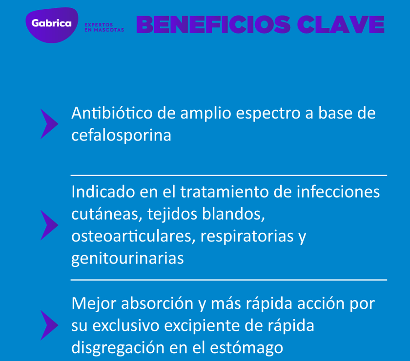 Cefalexina Antibiótico 500Mg 50 Tabletas