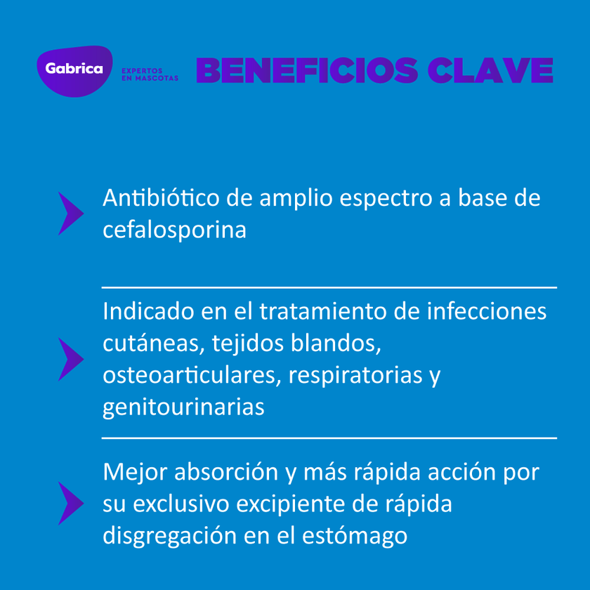Cefalexina Antibiótico 500Mg 50 Tabletas