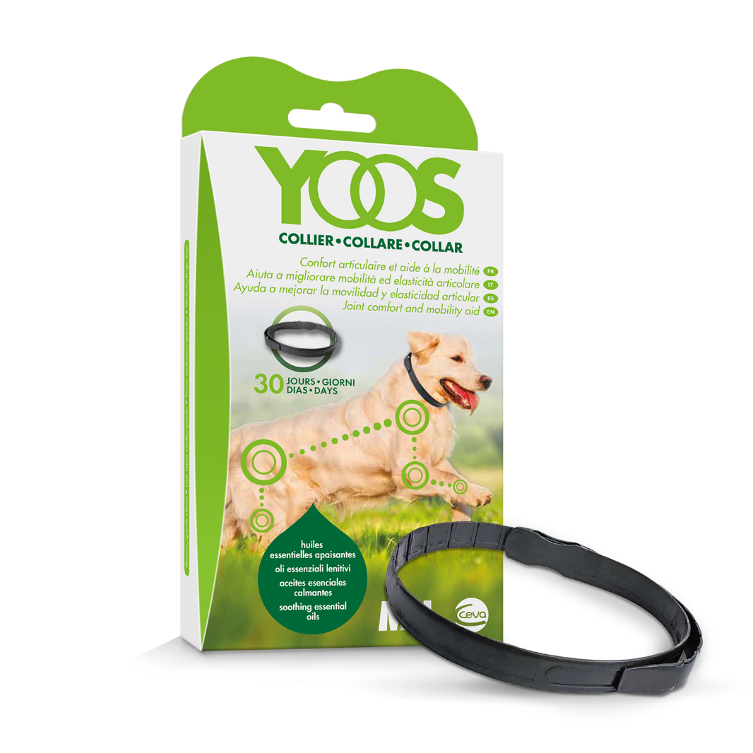 Collar Yoos perros