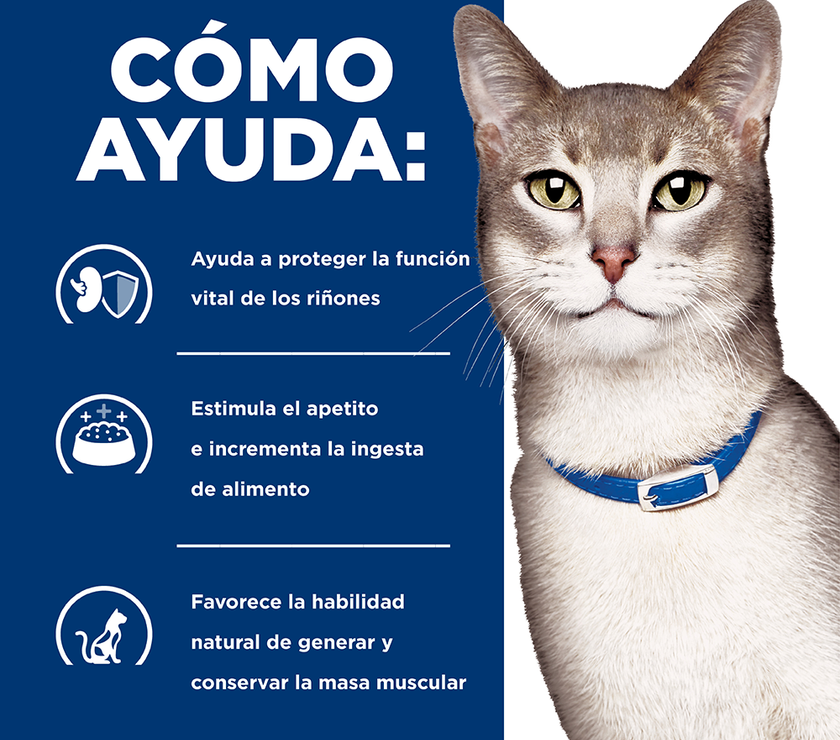 Hill's Prescription Diet k/d Cuidado Renal alimento Húmedo para Gato 5,5 Oz (156g)