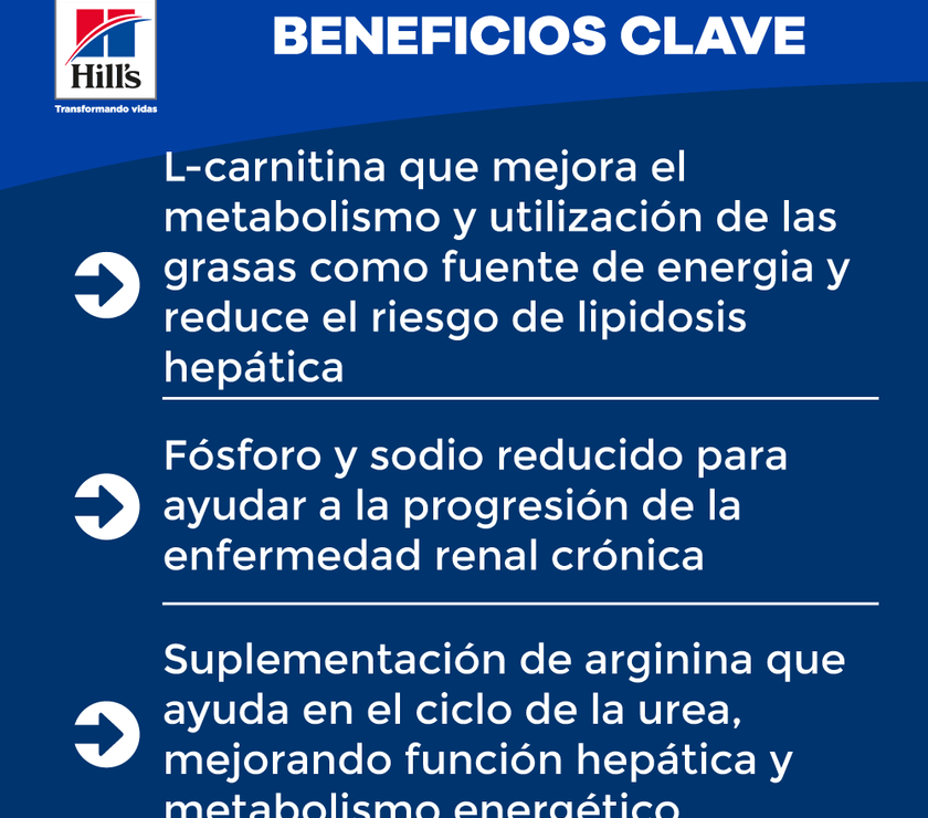 Hill's Prescription Diet k/d Cuidado Renal alimento Húmedo para Gato 5,5 Oz (156g)