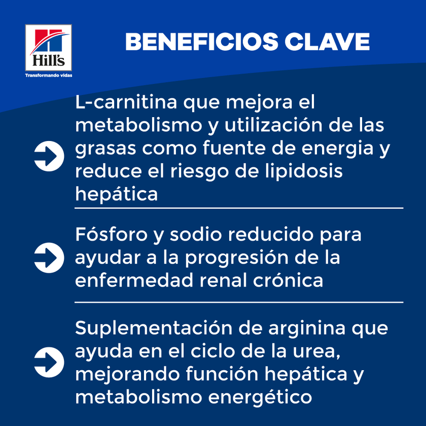 Hill's Prescription Diet k/d Cuidado Renal alimento Húmedo para Gato 5,5 Oz (156g)