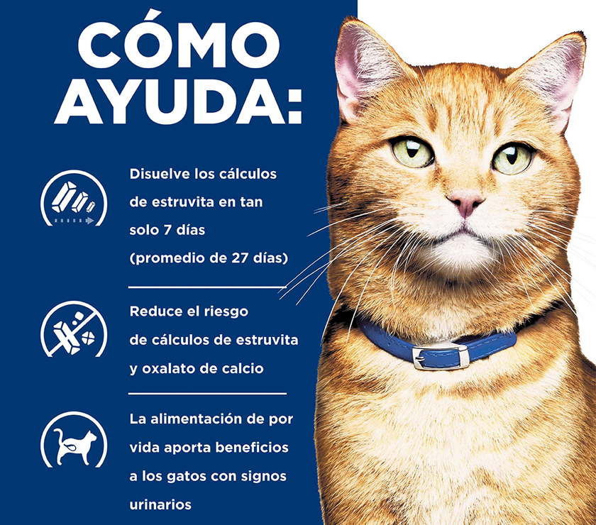 Hill's Prescription Diet c/d Multicare Comida Húmeda para Gato Cuidado Urinario 5,5 Oz (156g)