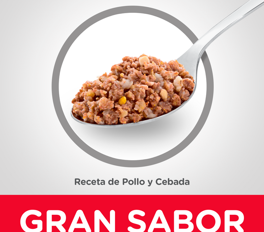 Hill's Science Diet Adult 7+ alimento húmedo para perro senior 13 Oz (369g)