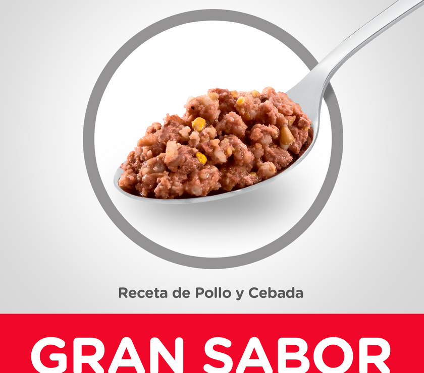 Hill's Science Diet Adult alimento húmedo para perro adulto sabor pollo 13 Oz (369g)