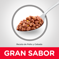 Hill's Science Diet Adult alimento húmedo para perro adulto sabor pollo 13 Oz (369g)