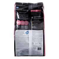 Comida Para Gato Equilibrio Kitten