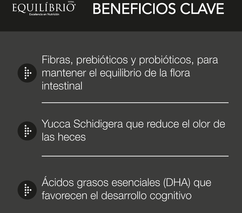 Comida Para Gato Equilibrio Kitten