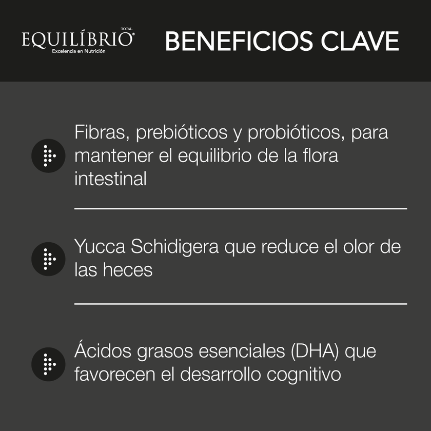 Comida Para Gato Equilibrio Kitten