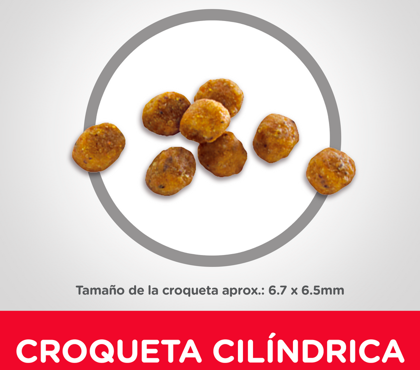 Hill's Science Diet Adult 7+ concentrado para gato senior