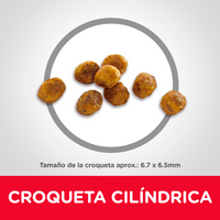 Hill's Science Diet Adult 7+ concentrado para gato senior