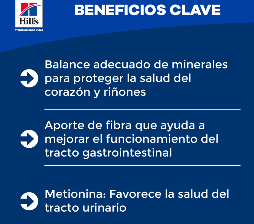 Hill's Science Diet Adult 7+ concentrado para gato senior