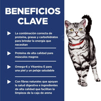 Hill's Science Diet Indoor concentrado para gato adulto de interiores
