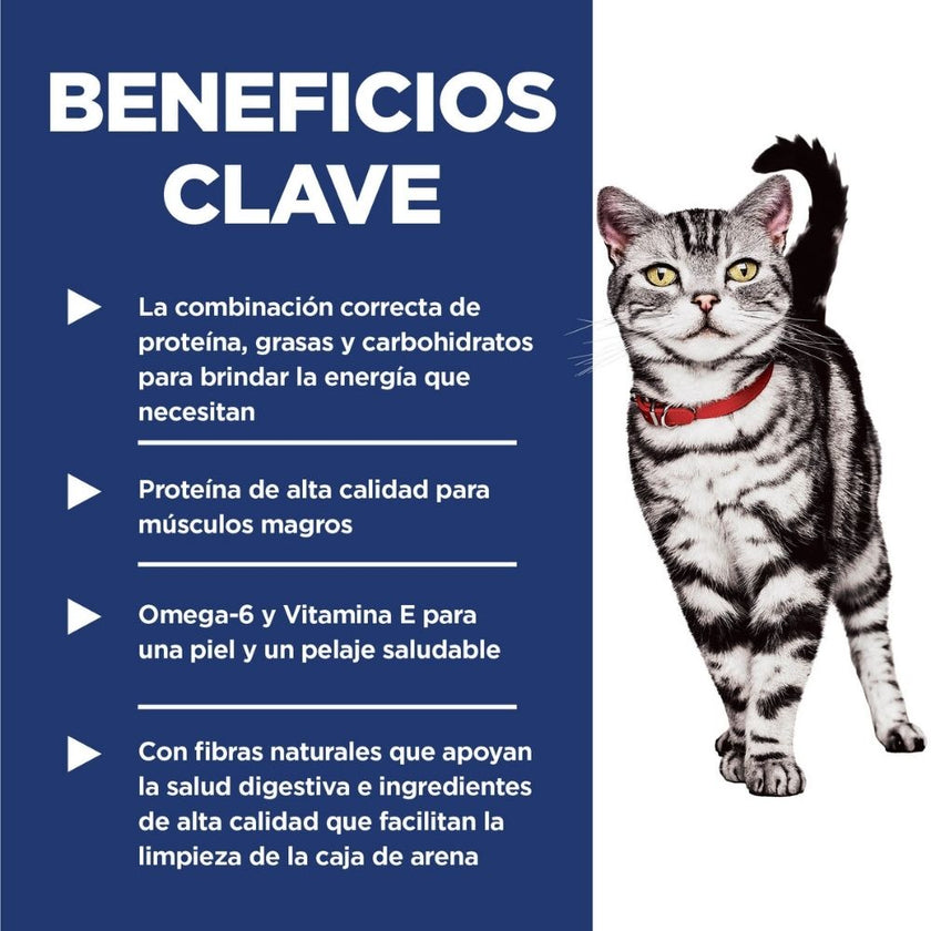 Hill's Science Diet Indoor concentrado para gato adulto de interiores