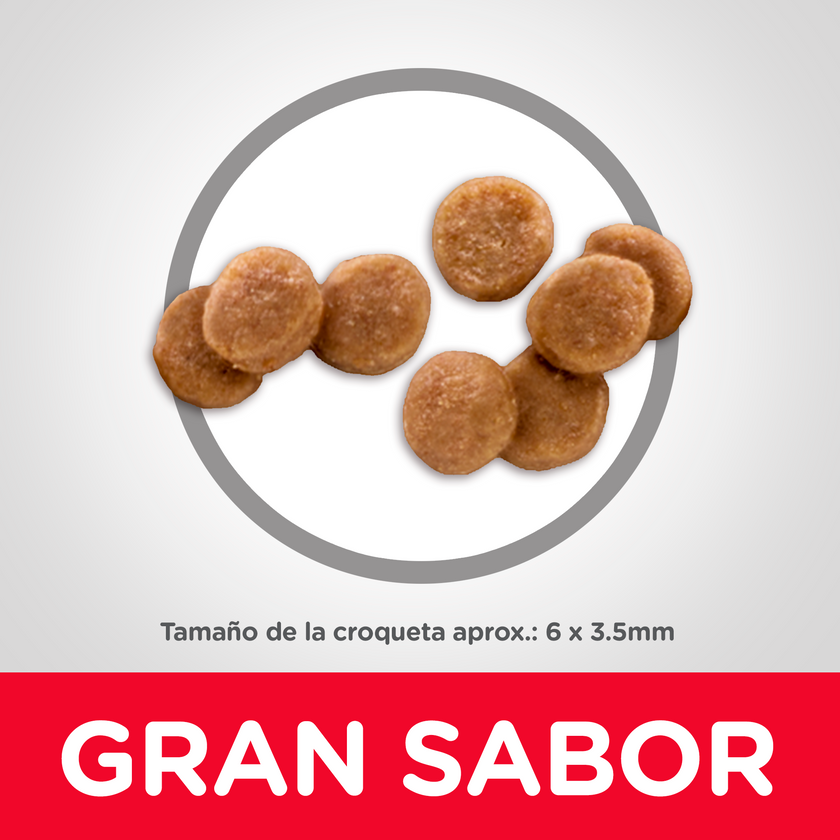 Hill's Science Diet Kitten concentrado para gatitos sabor pollo