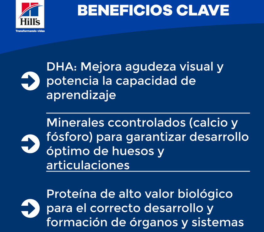 Hill's Science Diet Kitten concentrado para gatitos sabor pollo