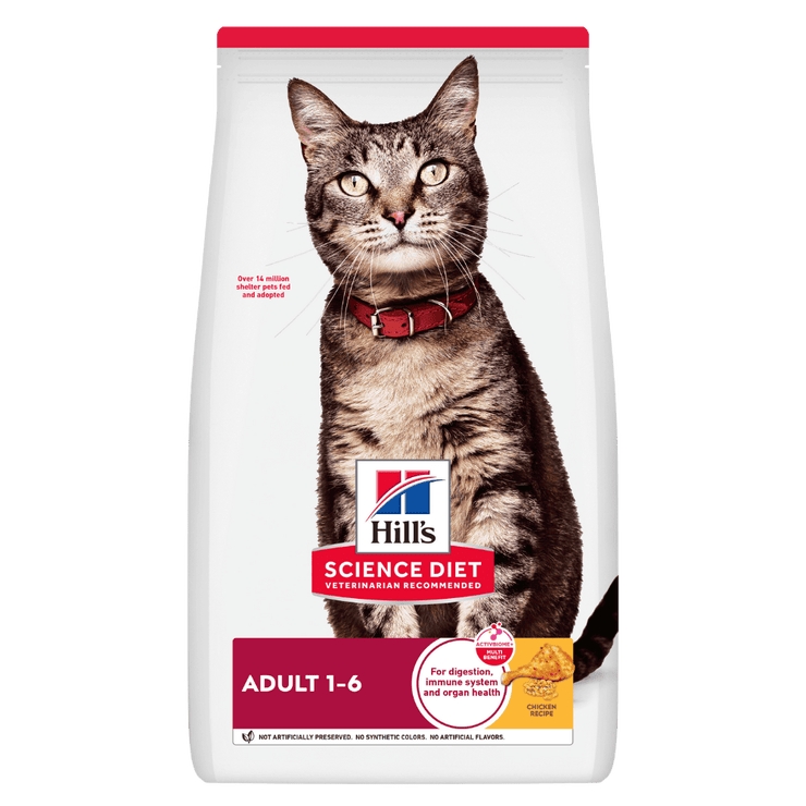 Hill's Science Diet Adult concentrado para gato adulto sabor pollo