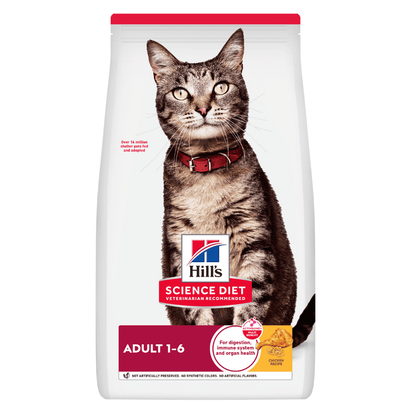 Hill's Science Diet Adult concentrado para gato adulto sabor pollo