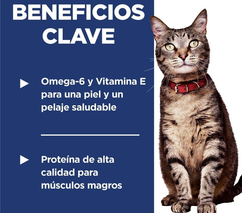 Hill's Science Diet Adult concentrado para gato adulto sabor pollo