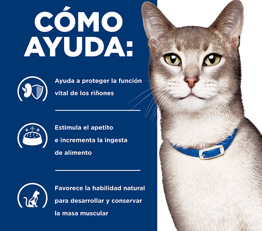 Hill's Prescription Diet k/d Cuidado Renal alimento seco para Gato 4 Lb (1,81Kg)