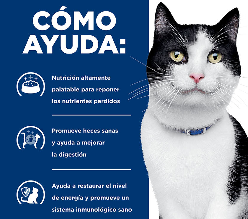 Hill's Prescription Diet i/d Cuidado Digestivo alimento seco para Gato 4 Lb (1,81Kg)