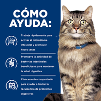 Hill's Prescription Gastro Biome Cuidado Digestivo alimento seco para Gato 4 Lb (1,81Kg)