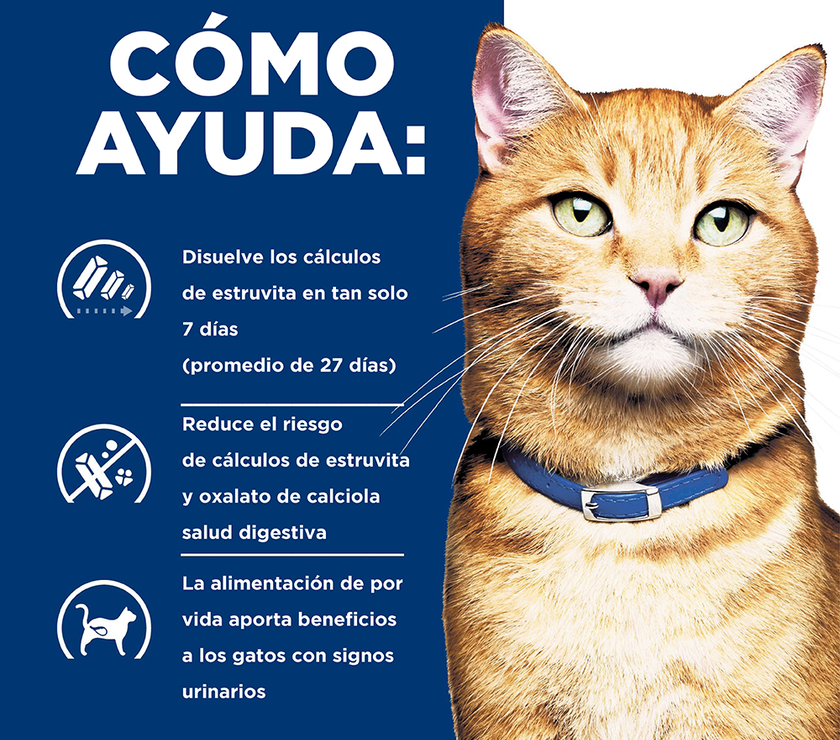 Hill's Prescription Diet c/d Multicare, Cuidado Urinario, alimento seco para Gato 4 Lb (1,81 Kg)