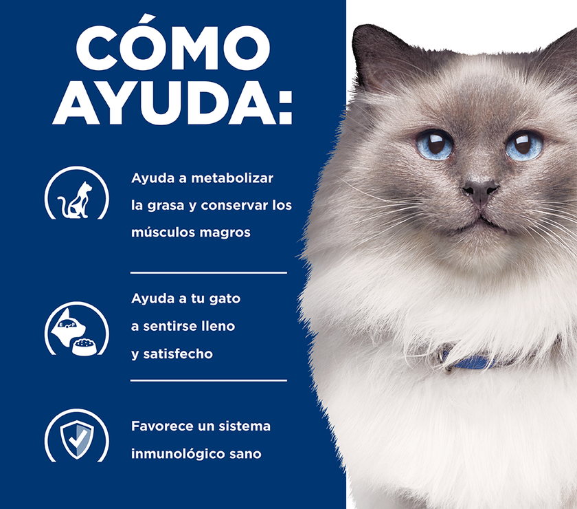 Hill's Prescription Diet r/d, Pérdida de Peso, alimento seco para gato 4 Lb (1,81Kg)