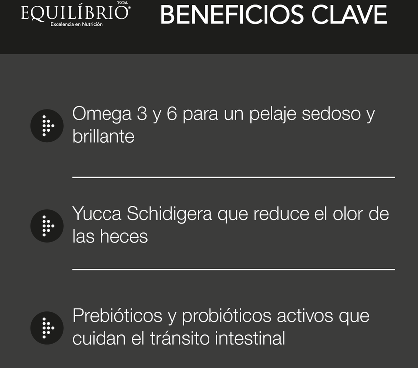 Comida Para Perro Equilibrio Adulto