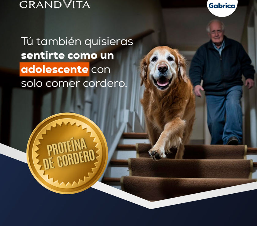 Comida para Perro Grandvita adulto senior 7+