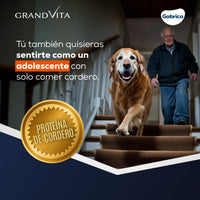 Comida para Perro Grandvita adulto senior 7+