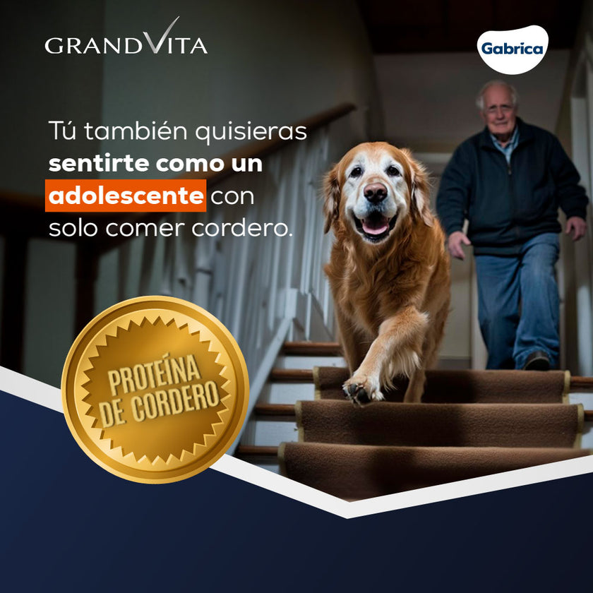 Comida para Perro Grandvita adulto senior 7+