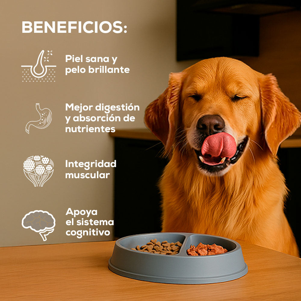 Comida Para Perro Grand Vita Cachorro