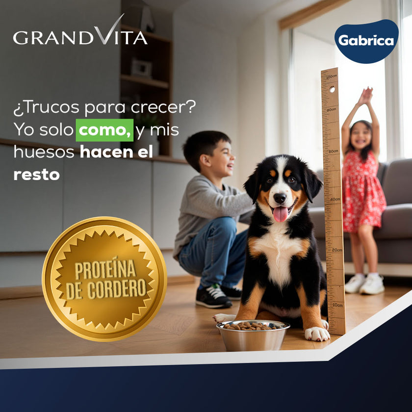 Comida Para Perro Grand Vita Cachorro