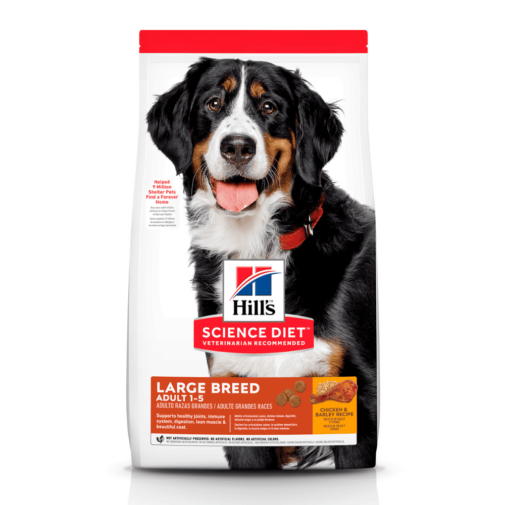 Hill's Science Diet Adult Large Breed concentrado para perro razas grandes sabor cordero 33 Lb (15Kg)