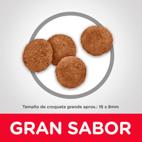 Hill's Science Diet Adult Large Breed concentrado para perro razas grandes sabor cordero 33 Lb (15Kg)