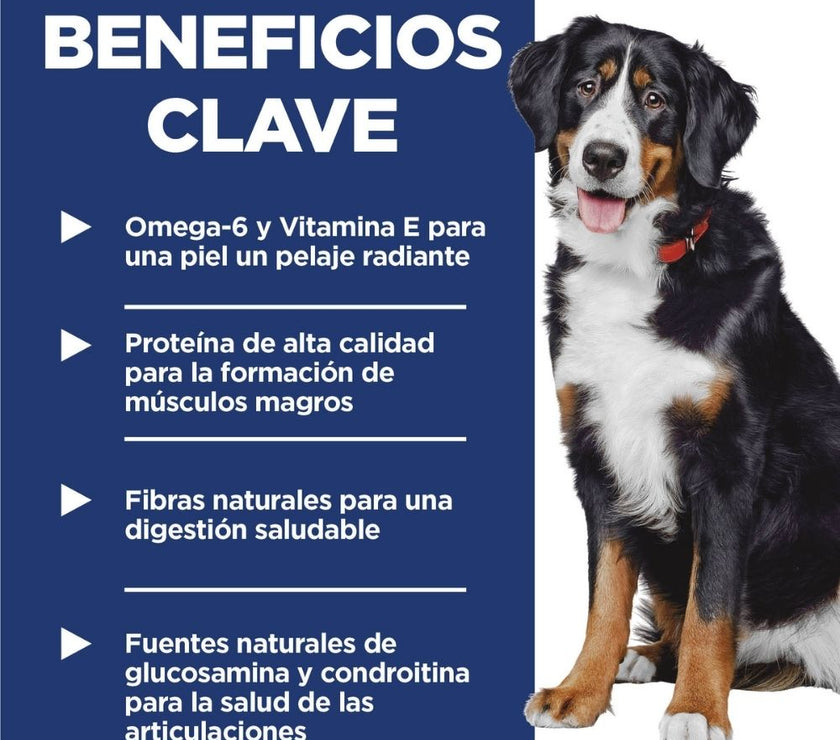 Hill's Science Diet Adult Large Breed concentrado para perro razas grandes