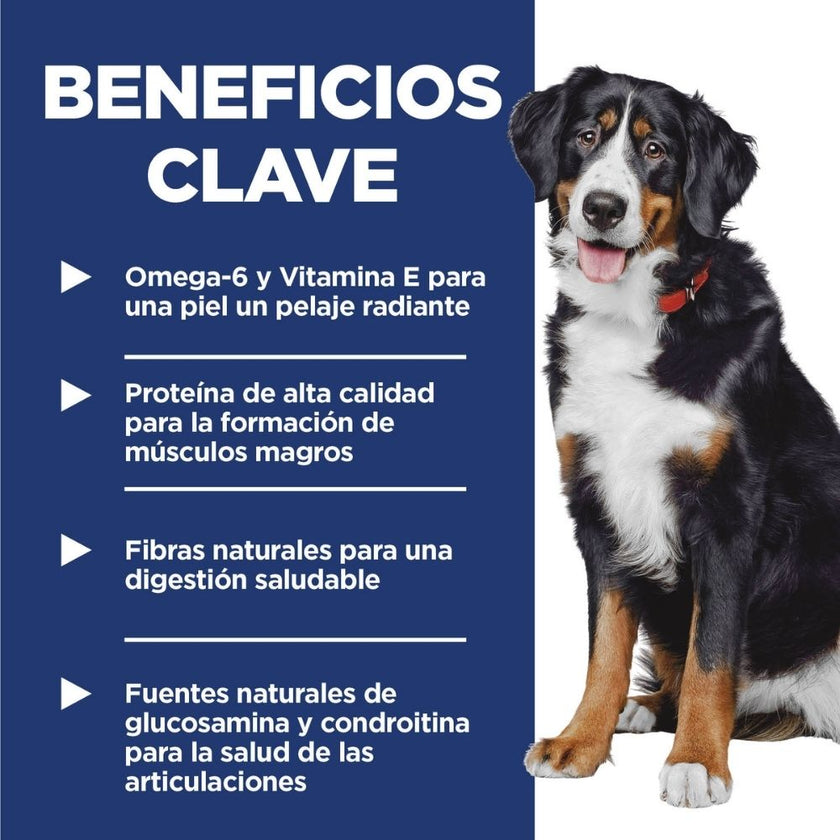 Hill's Science Diet Adult Large Breed concentrado para perro razas grandes