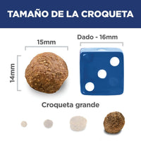 Hill's Science Diet Adult Large Breed concentrado para perro razas grandes