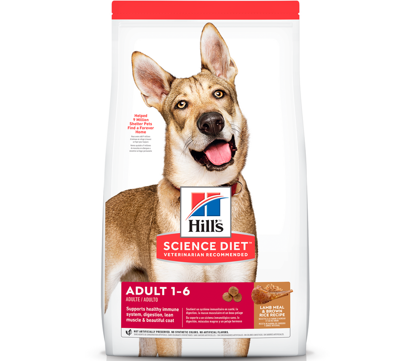 Hill's Science Diet Adult concentrado para perro adulto sabor cordero