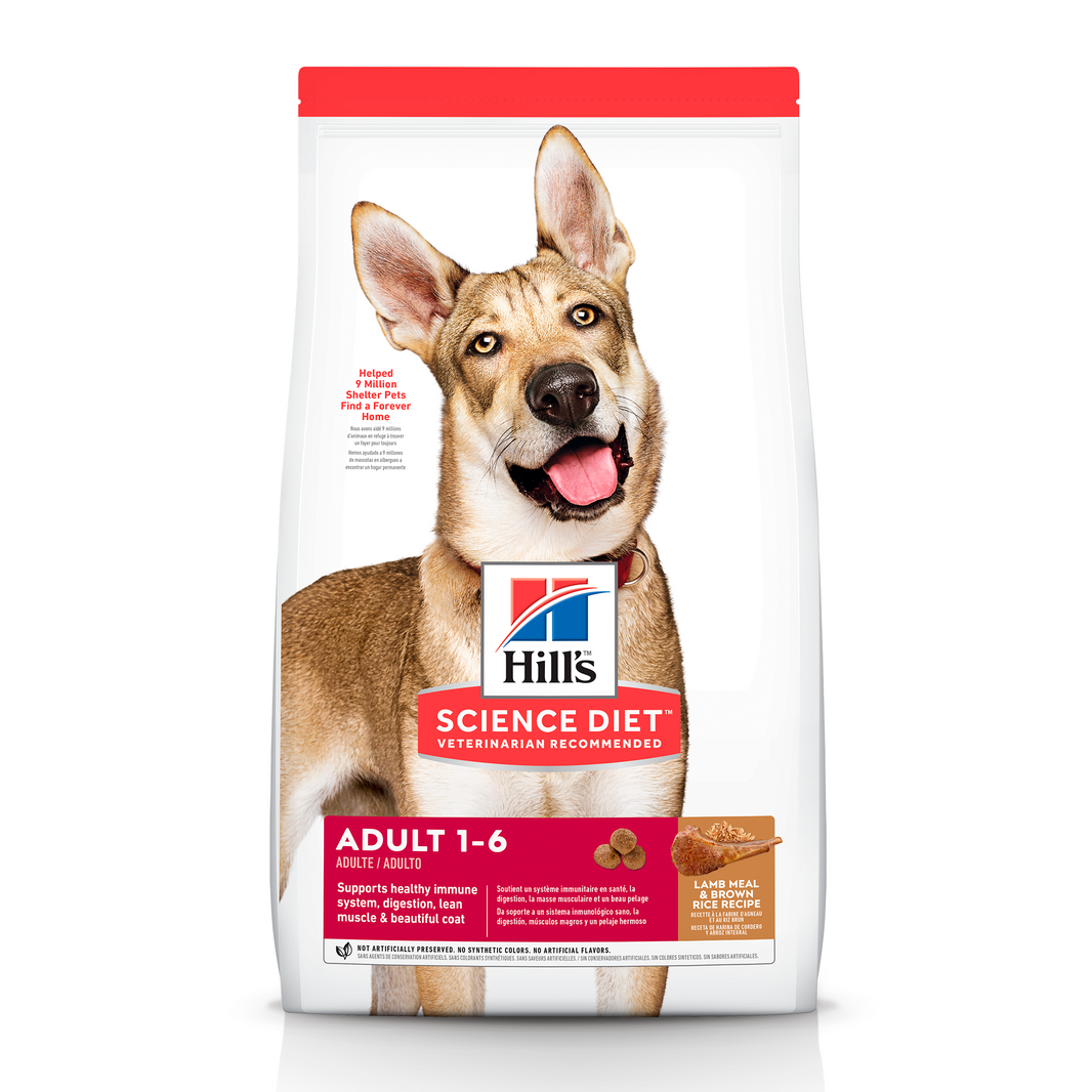 Hill's Science Diet Adult concentrado para perro adulto sabor cordero