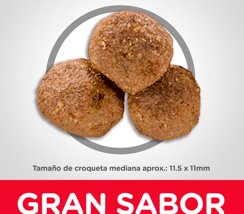 Hill's Science Diet Adult concentrado para perro adulto sabor cordero