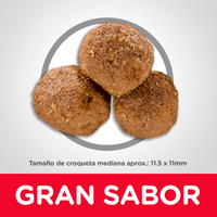 Hill's Science Diet Adult concentrado para perro adulto sabor cordero