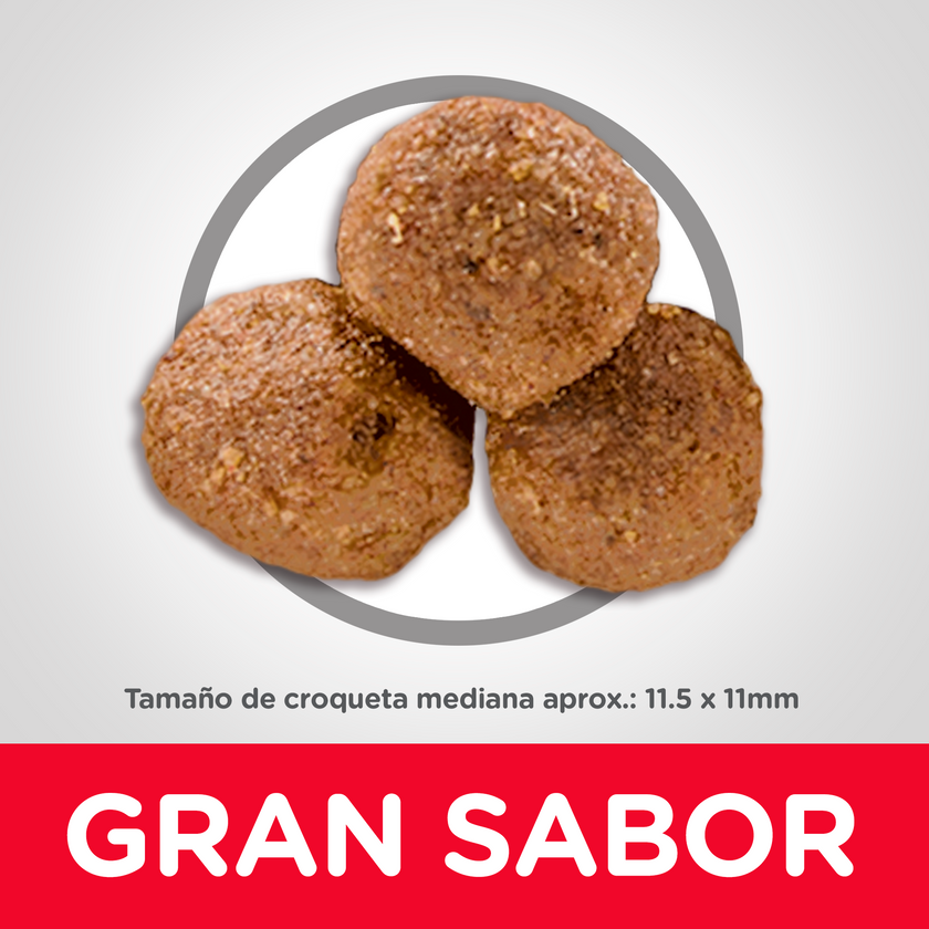 Hill's Science Diet Adult concentrado para perro adulto sabor cordero