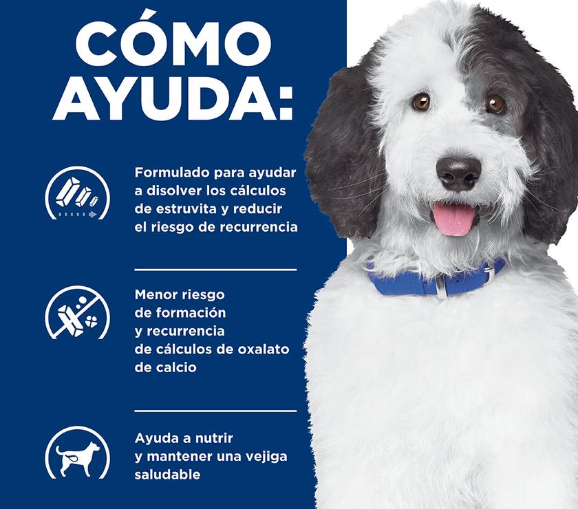 Hill's Prescription Diet c/d Multicare alimento para perro Cuidado Urinario