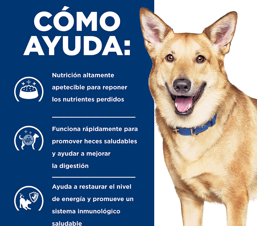 Hill's Prescription Diet i/d Alimento para perro Cuidado Digestivo