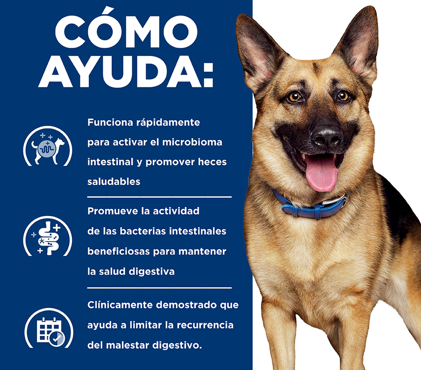 Hill's Prescription Diet Gastrointestinal Biome Concentrado para perro Cuidado Digestivo