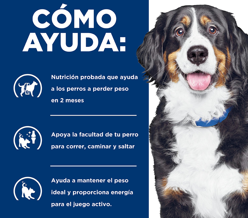 Hill's Prescription Diet Metabolic + Mobility Alimento para Perro